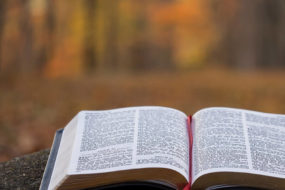 Online Reading Groups