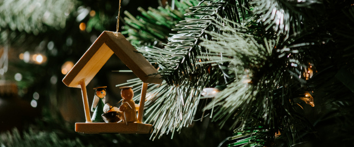 An Old Couple and the Advent